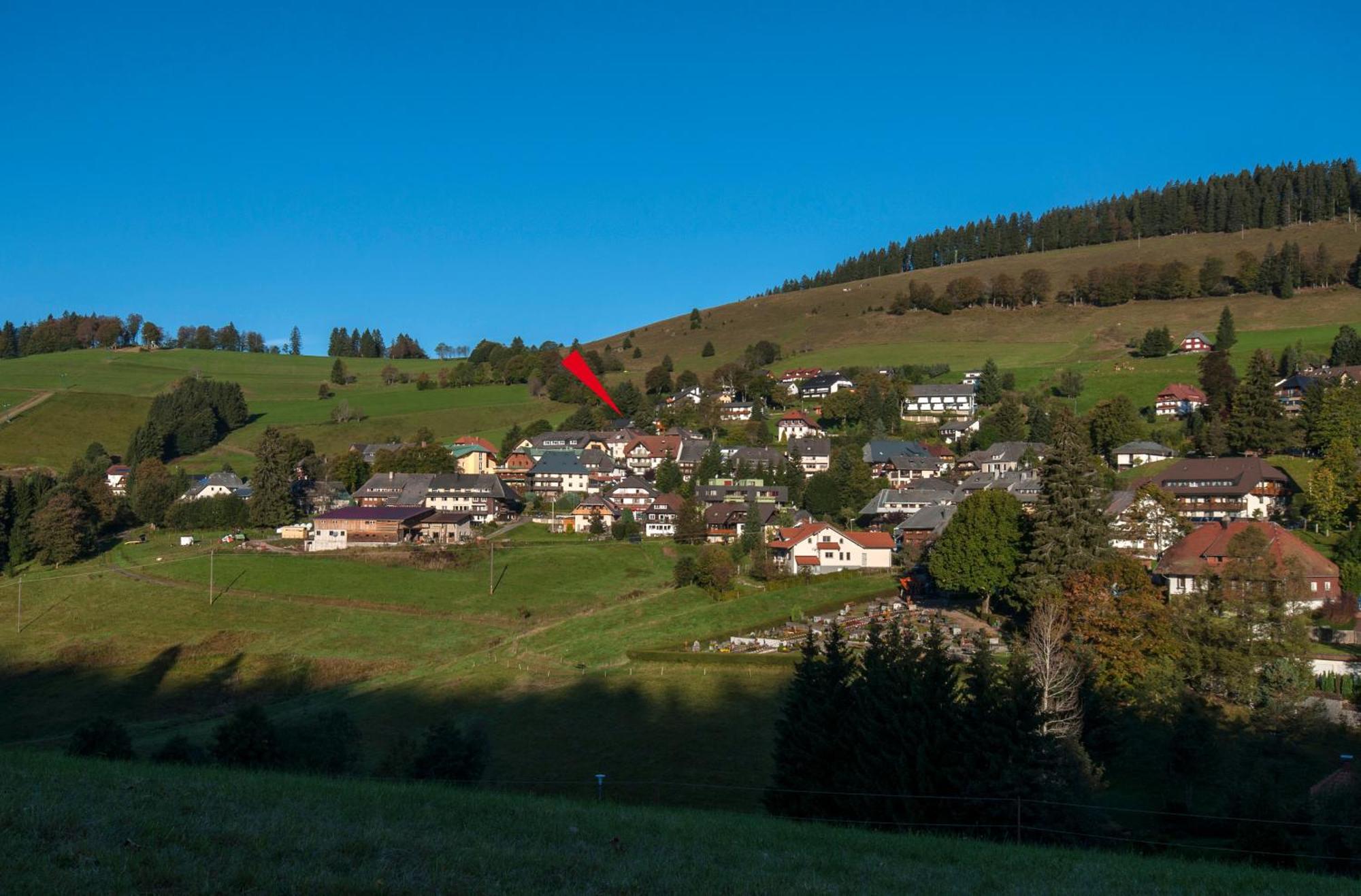 Apartment 03 - Ferienresidenz Roseneck, Mit Schwimmbad In Todtnauberg Bei Feldberg Exterior photo